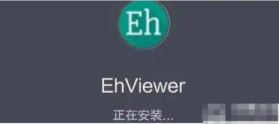 e站(EhViewer)1.9.8.6最新正版