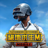 pubg暗影前线版