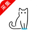 猫影视TV