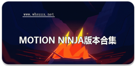 motion ninja版本合集