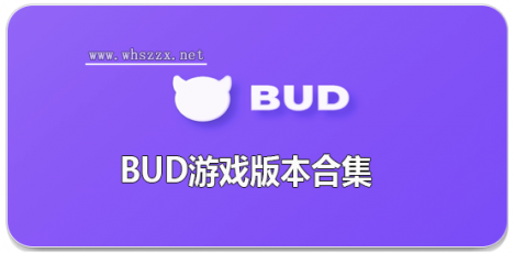 BUD游戏版本合集