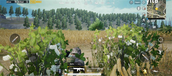 pubg3.0太刀版