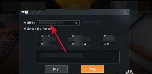 《和平精英》举报玩家方法
