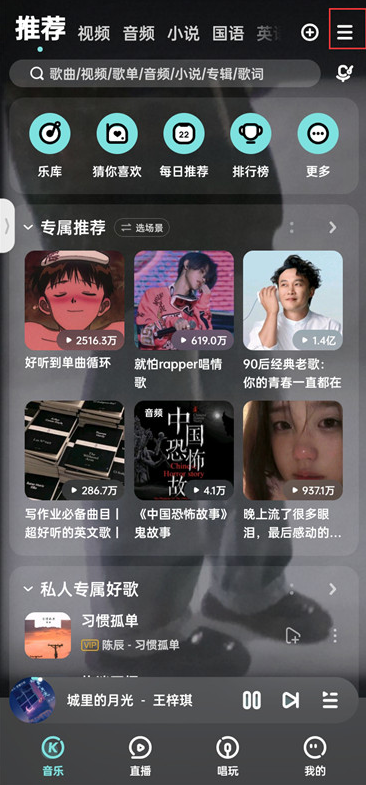 音乐适配免登陆复活版