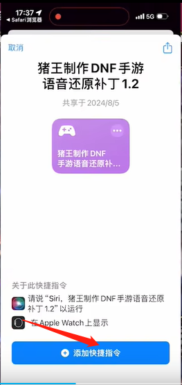 DNF手游语音还原补丁